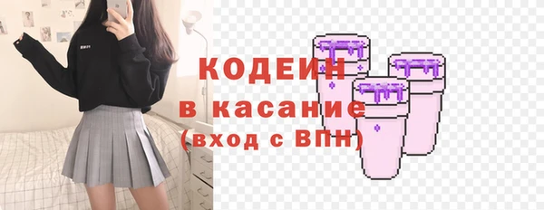 ГАЛЛЮЦИНОГЕННЫЕ ГРИБЫ Алзамай