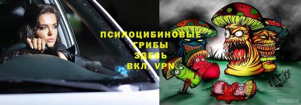 ГАЛЛЮЦИНОГЕННЫЕ ГРИБЫ Алзамай